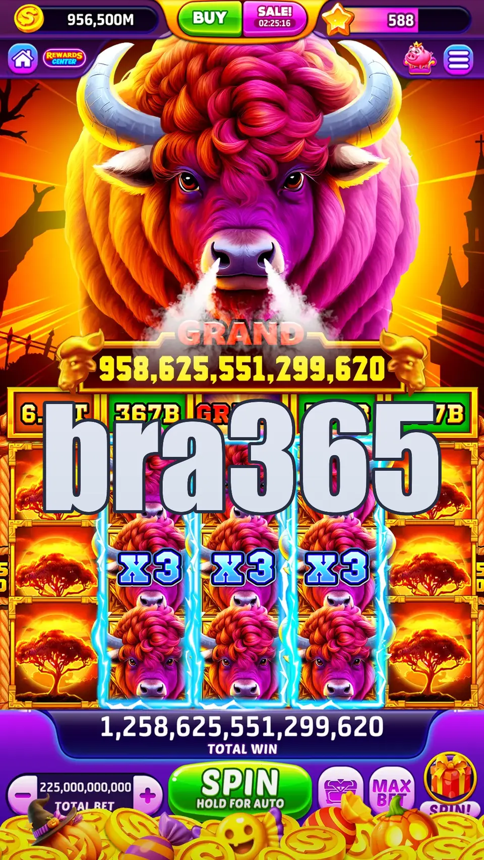 bra365 APK